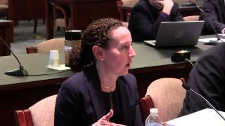 USITC hearing on India. Q&A, afternoon panel. Feb 14 2014.  MVI 0286
