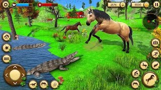 Wild Horse Game Survival Simulator - Android Gameplay screenshot 5