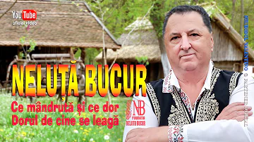 NELUTA BUCUR . Ce mandruta si ce dor I COLAJ I (oficial audio)