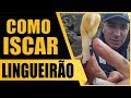 SEGREDOS DE PESCA - COMO ISCAR LINGUEIRÃO