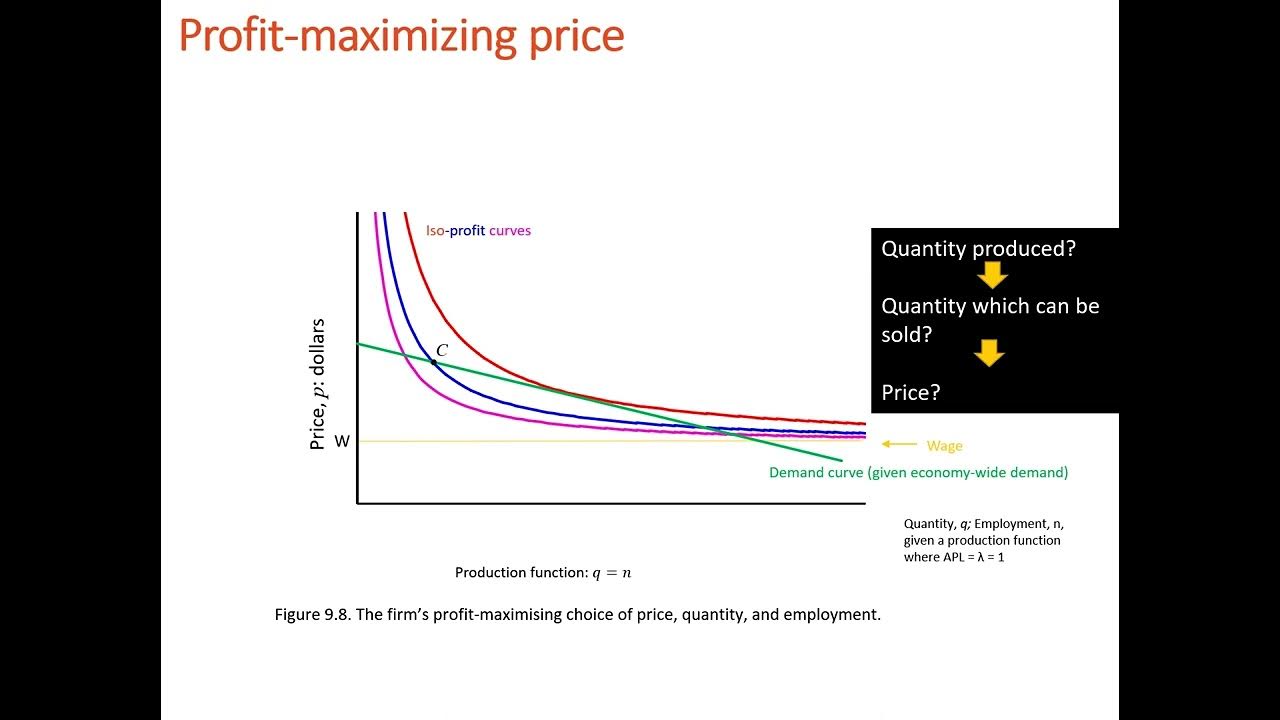 Figure 9 9 explained - The firm’s profit-maximising choice of price ...