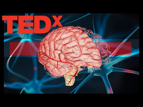 Фокус внимания, или почему наш мозг ленив | Илья Мартынов | TEDx Youth