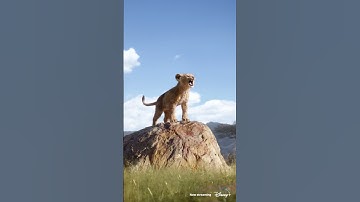 Thumbnail of I Just Can't Wait to Be King (From "The Lion King") #Disney100 #Shorts