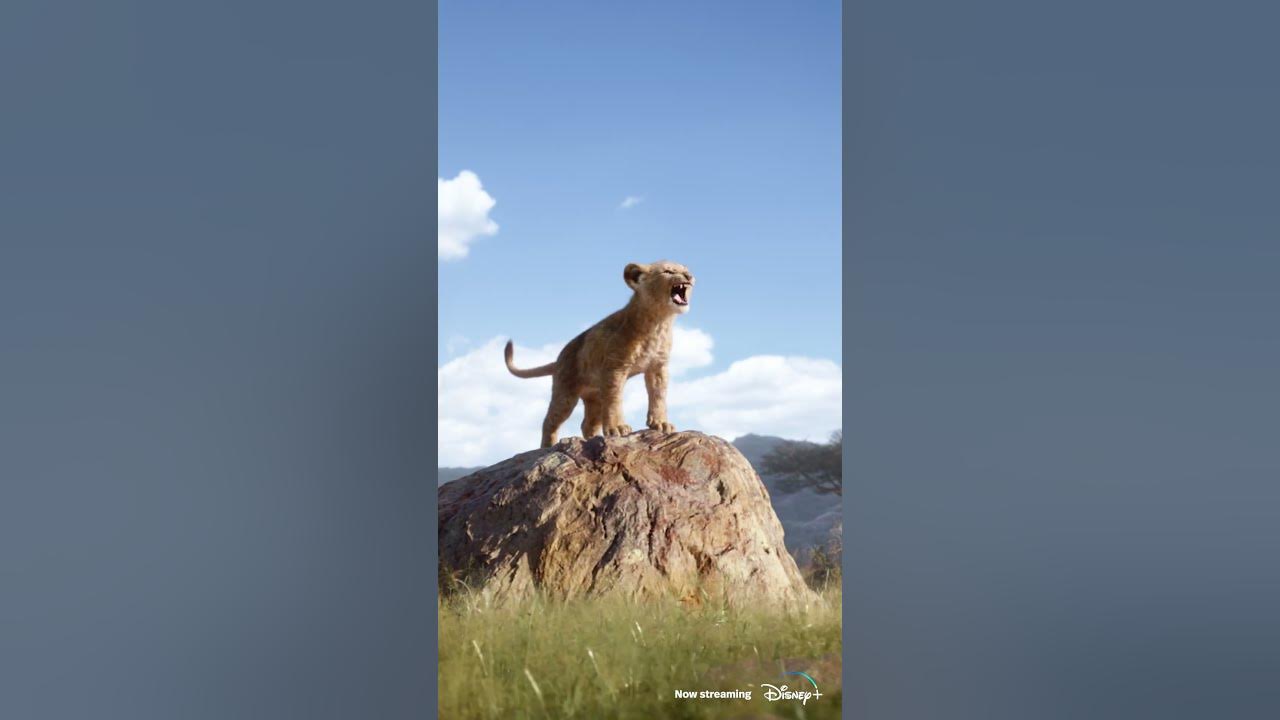 I Just Can't Wait to Be King (From "The Lion King") #Disney100 #Shorts