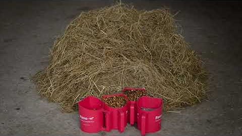 Hoe houd je een ouder paard op gewicht?