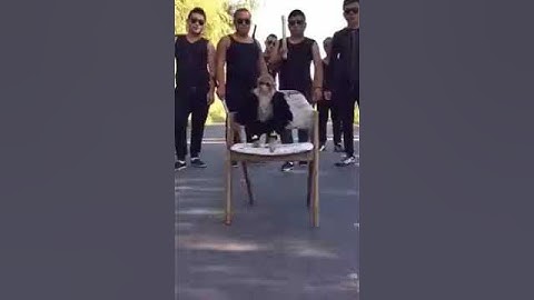 Thumbnail of Don ko pakkadna mumkin nahi n.a. mumkin he funny video's