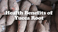 Top 8 Wonderful Health Benefits of Yucca Root