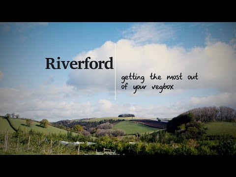 Organic food delivery with the Riverford Veg Box