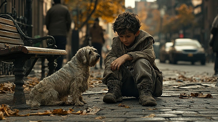 ¡Algunas películas curan el alma! Esta película es una de ellas | Drama Familiar en español