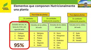 Manejo eficiente de macro y micro nutrientes en la Nutrición Vegetal   J  Gutierrez COMPO EXPERT