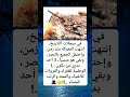 هل تعلم قصة الجندي المجهول التي لم يخبروك بها احد