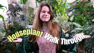 Take A Walk Through My Houseplant Collection With Me