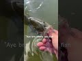 No #viral #catchinbass #viralvideo #bassfishing #catching #fishing #bass #carp #shorts