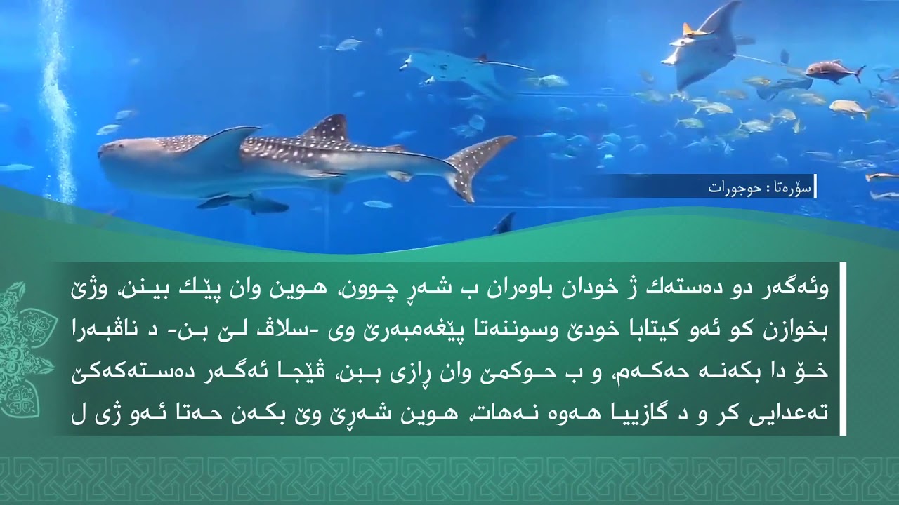 تەفسیرا سوورەتا الحُجرَات1080p