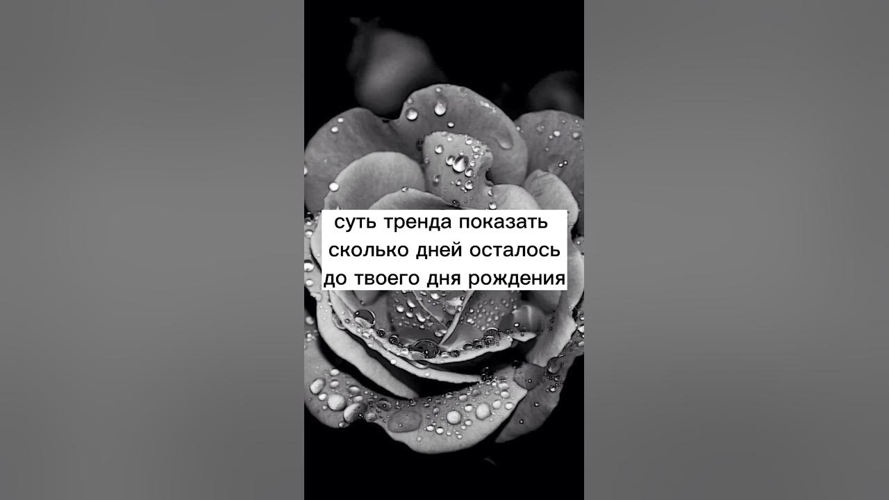 Суть тренда показа сколько дней осталось до твоего дня рождения - YouTube