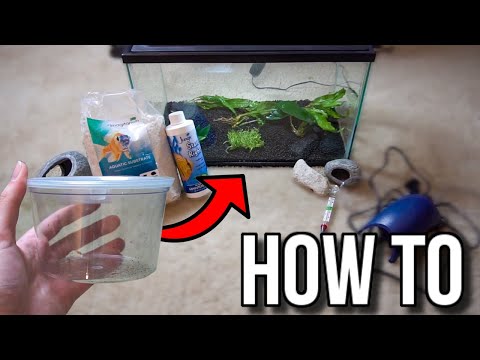 How To Setup a BETTA Fish Tank AQUARIUM!