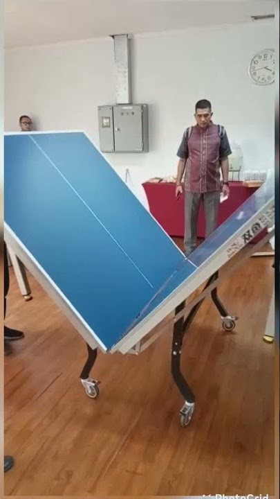 Tenis meja pingpong merk Double fish 308