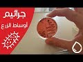 أوساط الزرع الجرثومية عملي أحياء دقيقة 1