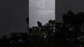 Famous udan....🕊️🕊️#youtube #feedshorts #views #explore #audio #like #facts #sad Profile