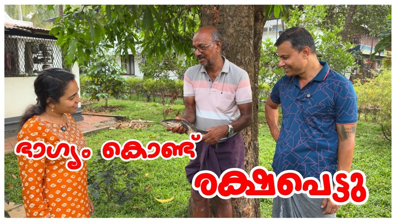 ഭാഗ്യം കൊണ്ട് രക്ഷപെട്ടു.../Kappa Biriyani recipe /vegetable harvest Family vlog 