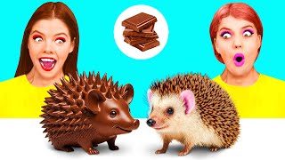 Real Food vs Chocolate Food Challenge | Funny Food Recipes by DaZaZa Challenge Real Food vs Chocolate Food Challenge | Funny Food Recipes by DaZaZa Challenge
