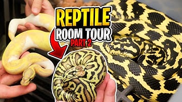 You Don’t Wan’t To Miss Part 2 Of this Reptile Room Collection!