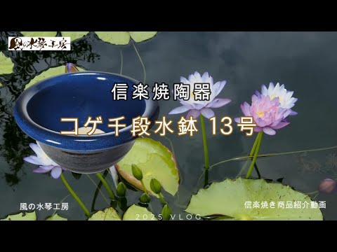見つけた方はラッキー 焙り出し 鱗文 みつ豆鉢 生子千段水鉢 13号 /睡蓮鉢(信楽焼き・陶器・水鉢・めだか鉢
