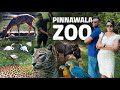 Pinnawala zoo animals saththu waththa  ticket price full tour  special snake show 2023