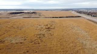 DJI Mavic Mini Yaw Glitch