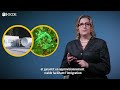 Comment l'énergie nucléaire peut-elle aider à lutter contre le changement climatique ?