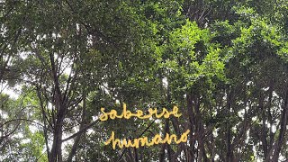 saberse humano 🎏