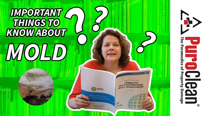 Why do I have mold in my home? - PuroClean Restora...
