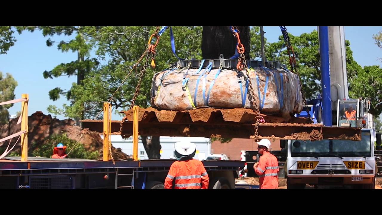 Relocation of 100 y/o Bottle Tree Goes Like Clockwork