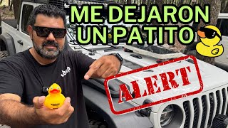 Porque Los Jeep Traen Paos En El Tablero Duck Duck Jeep