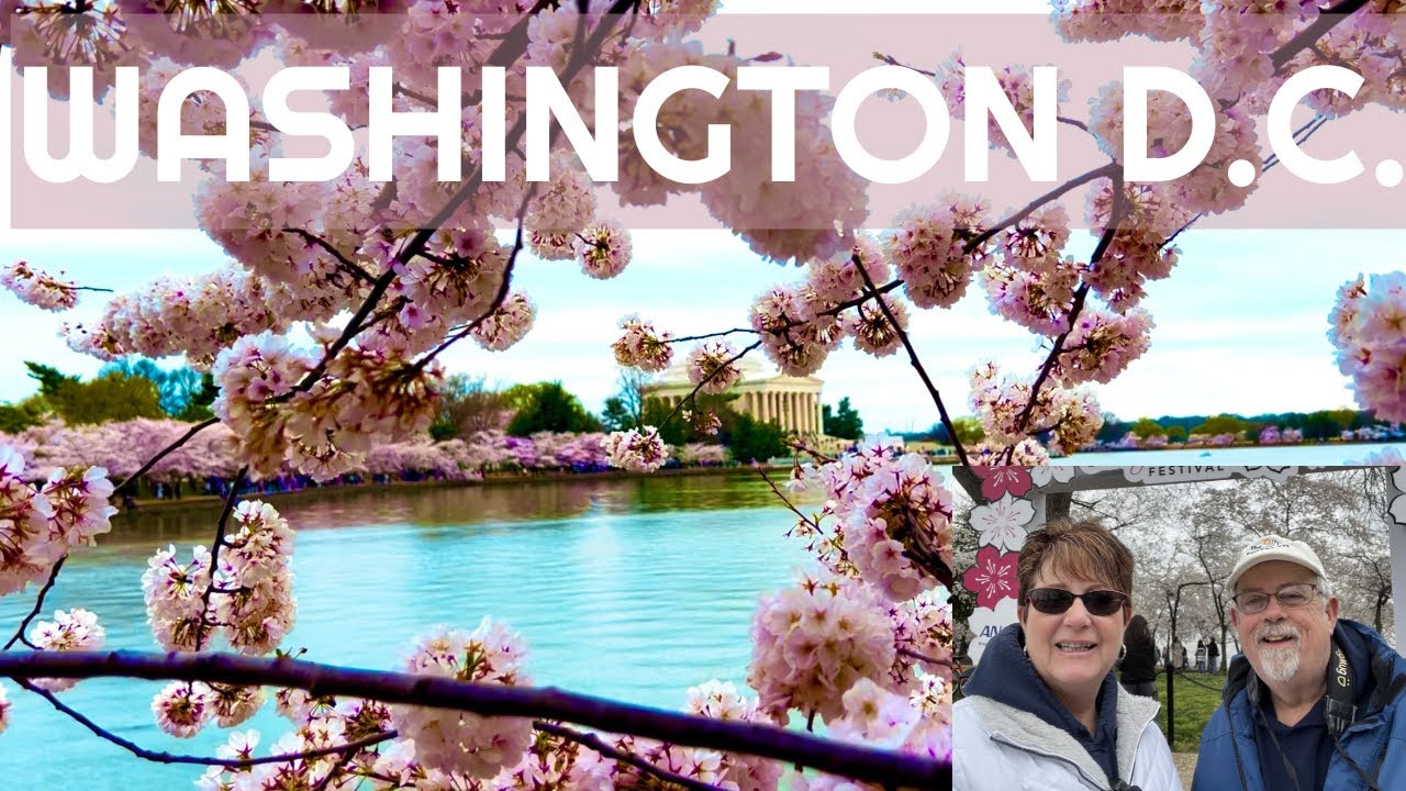 7 free things to do at The Cherry Blossom Festival - YouTube