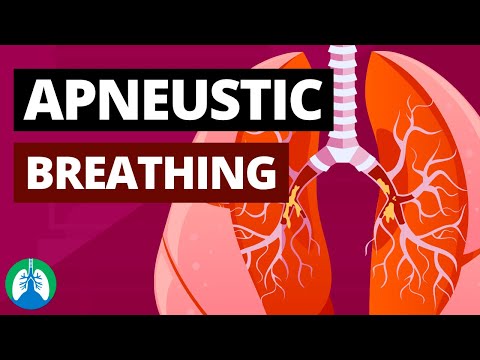 Apneustic Breathing (Medical Definition)  Quick Explainer Video