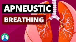 Apneustic Breathing (Medical Definition)  Quick Explainer Video