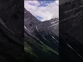 Grizzly Bear &amp; 3 Cubs Out For A Hike in the Rocky Mountains (Cell phone video)