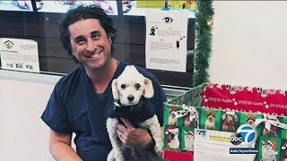 San Diego plane crash victim was beloved Torrance veterinarian I ABC7