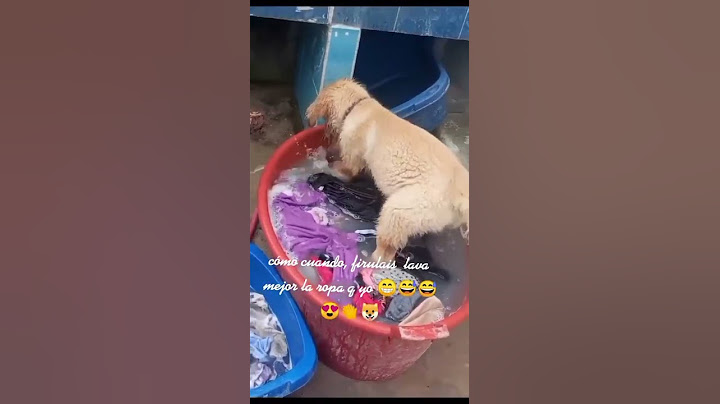 #dog #dogshorts #dogvideos #dogs #dog #puppies #cats #kittens #viral #babyboy #baby