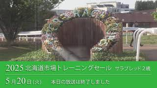 2025 北海道市場トレーニングセール  せり生中継