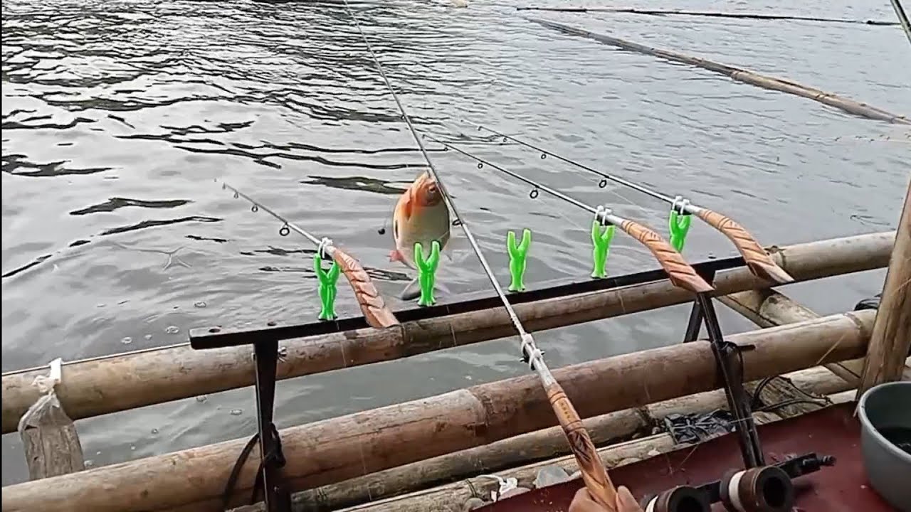 Diserang kumpulan bawal //mancing liar waduk cirata