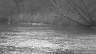 MDEQ issues drinking water alert in Macomb County