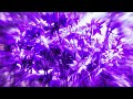 Julieta Venegas Lento Slowed N Boosted Lyrics 