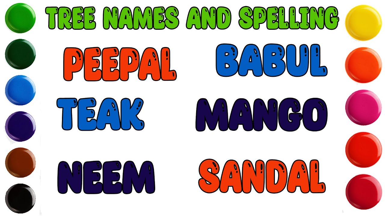 10 Trees Name In English And Hindi Trees Name Trees Name In English 10-trees-name-in-english-and-hindi-trees-name-trees-name-in-english