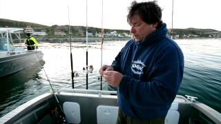 Norwegen Heilbutt Havoysund / Norway fishing halibut