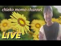 プチ切れBBA大炎上とだらだら