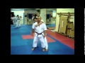 Karate and Koryu Uchinadi Kenpo Jutsu Comparison