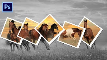 Create a Photo Montage from a Single Image | Make a POLAROID PHOTO Montage of 1 Image.