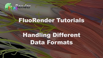 FluoRender Tutorial Series: Handling Different Data Formats